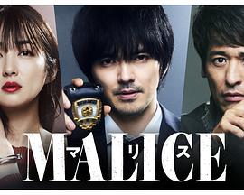 《MALICE》第02集45分钟剧情讲解，共543字