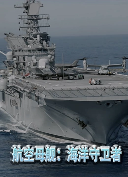 《航空母舰：海洋守卫者》时长：120分钟剧情介绍，共569字