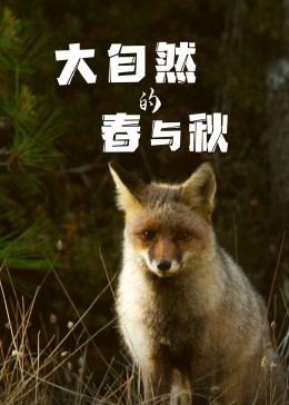 《大自然的春与秋》时长：120分钟剧情介绍，共519字