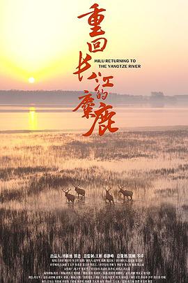 《重回长江的麋鹿》时长：120分钟免费剧情，共567字