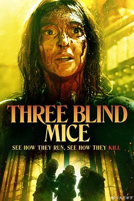 《三只盲鼠 Three Blind Mice》时长：120分钟剧情介绍，共417字