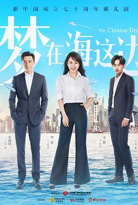 《梦在海这边》第44集完结45分钟免费剧情，共541字