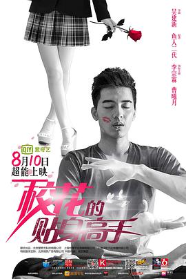 《校花的贴身高手》完结45分钟剧情介绍，共528字