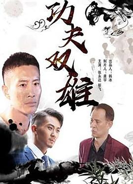 《功夫双雄》时长：120分钟免费剧情，共378字