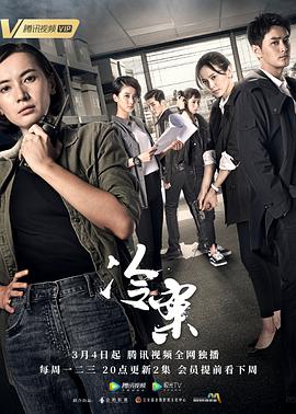 《冷案》第30集完结45分钟剧情介绍，共582字