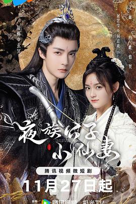 《夜族公子小仙妻》第04集45分钟剧情讲解，共388字