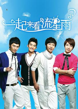 《一起来看流星雨》完结45分钟剧情介绍，共567字