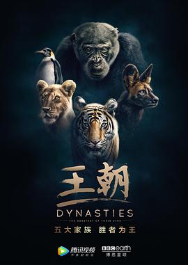 《王朝 第一季 英文版》时长：120分钟免费剧情，共422字