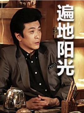 《遍地阳光》第36集完结45分钟剧情讲解，共338字