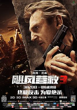 《飓风营救3》时长：120分钟剧情讲解，共486字