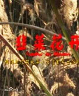 《韭菜花开》时长：120分钟免费剧情，共340字