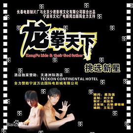 《龙拳天下》时长：120分钟免费剧情，共342字