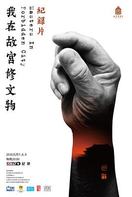 《我在故宫修文物》时长：120分钟免费剧情，共484字