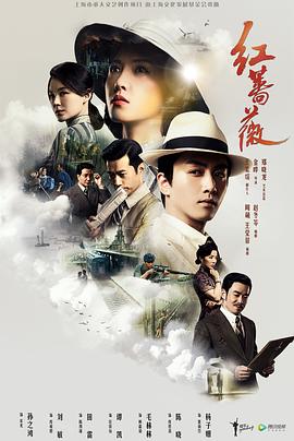 《红蔷薇》第48集45分钟剧情介绍，共497字