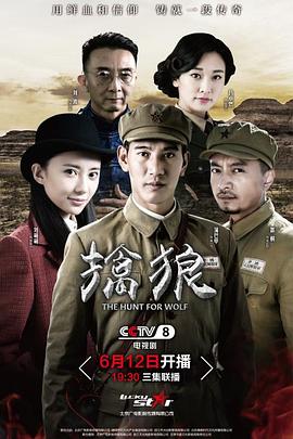 《擒狼》第33集45分钟剧情介绍，共569字