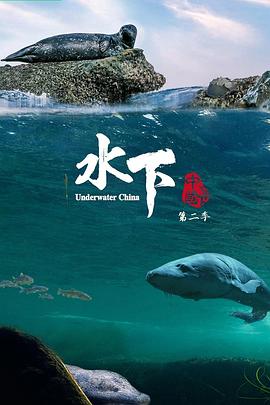《水下中国 第二季》时长：120分钟剧情介绍，共516字