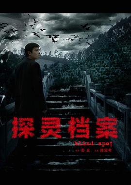 《探灵档案》时长：120分钟剧情介绍，共325字