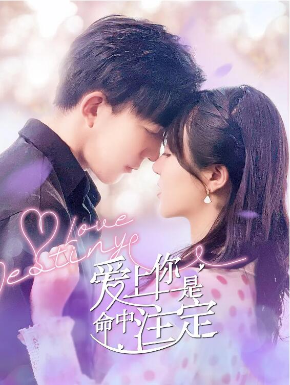 《爱上你是命中注定》第12集45分钟剧情讲解，共511字