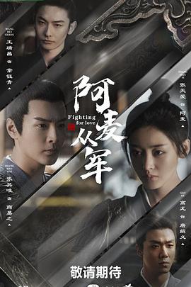 《阿麦从军》第00集45分钟剧情在线观看，共380字