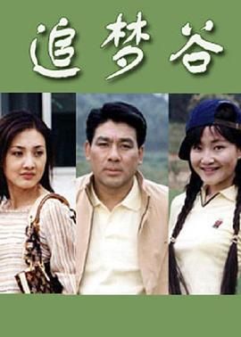 《追梦谷》第20集完结45分钟剧情介绍，共372字
