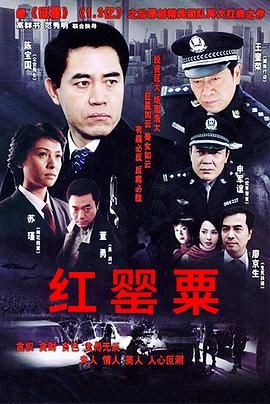 《红罂粟》第30集完结45分钟剧情在线观看，共599字