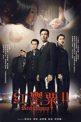 《红罂粟2》第30集完结45分钟剧情在线观看，共303字