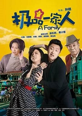 《极品一家人》第40集完结45分钟免费剧情，共520字