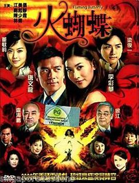 《火蝴蝶2008》全31集45分钟免费剧情，共435字