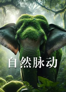 《自然脉动》时长：120分钟剧情介绍，共530字