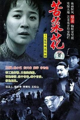 《苦菜花2004》第20集完结45分钟免费剧情，共345字