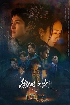 《微暗之火》第2集45分钟剧情讲解，共348字