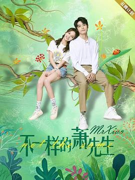 《不一样的萧先生》第24集完结45分钟免费剧情，共403字