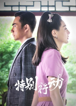 《特别行动》第04集45分钟剧情介绍，共563字