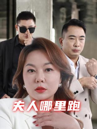 《夫人哪里跑》全12集45分钟剧情在线观看，共330字