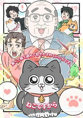 《转生成猫的大叔》第5集45分钟剧情在线观看，共573字